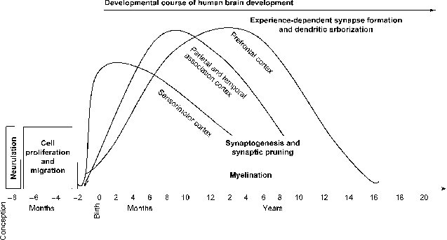 &ldquo;Esquema de consolidaci&oacute;n o memoria de trabajo vs memoria de largo plazo&rdquo; &mdash; para apoyar la explicaci&oacute;n de los procesos internos de aprendizaje.