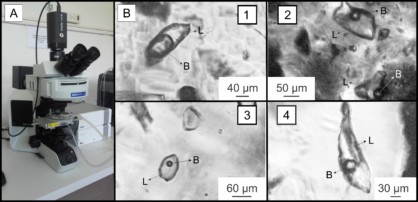 A: microscopio con cámara y platina de
			enfriamiento-calentamiento acoplada. B: inclusiones fluidas en
			cristales de baritina (1-4). Abreviaciones: B= burbuja, L=
			líquido.