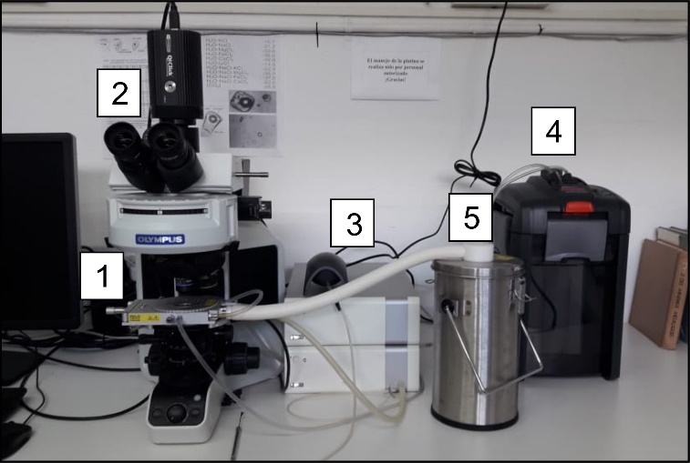 Equipo de micro-termometría: 1)
			platina
			de ensayos de calentamiento-enfriamiento montada sobre 2)
			microscopio
			de transmisión, 3)
			consola
			de control de ensayos, 4)
			bomba
			de agua, 5)
			termo
			con Nitrógeno líquido.