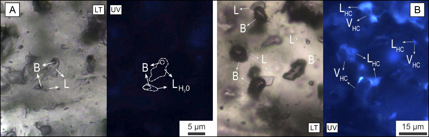  A: Inclusiones fluidas no fluorescentes en cristales de
			baritina observadas con luz transmitida (LT) y luz UV (UV). B:
			inclusiones fluidas fluorescentes en cristales de baritina
			observadas con LT y luz UV. Abreviaciones: B = burbuja, L =
			líquido, LHC=
			hidrocarburo líquido, VHC=
			hidrocarburo gaseoso.