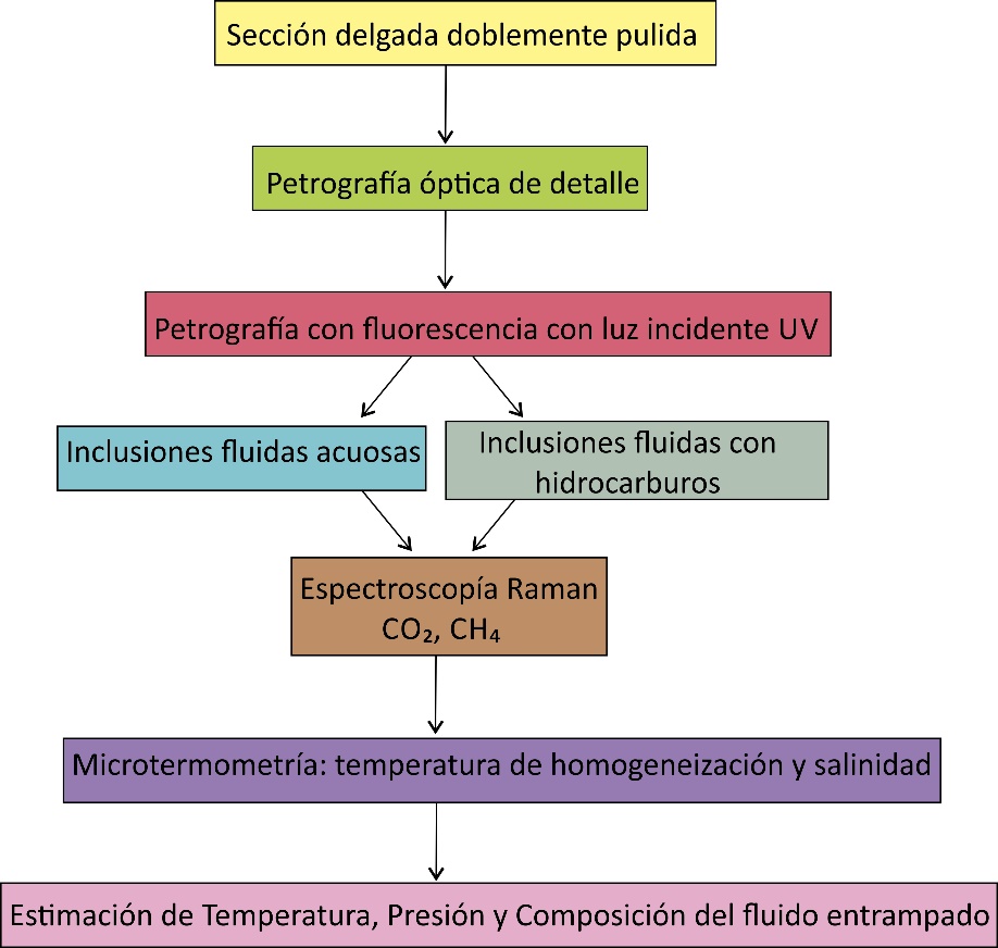  Síntesis sobre el procedimiento para el estudio y análisis de
			inclusiones fluidas acuosas y con hidrocarburos (editado de
			González Partida et al., 2008a).